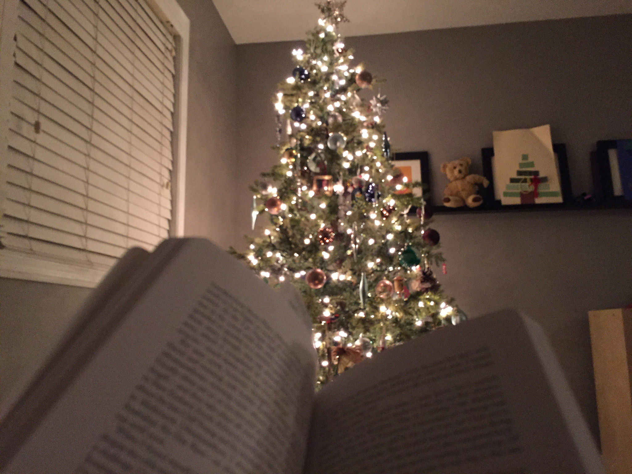 reading by the christmas trree