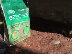 Scotts EZ Seed